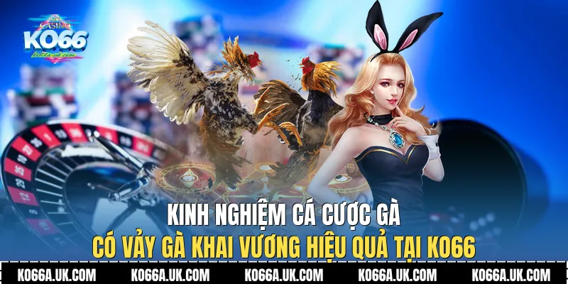 Kinh nghiệm cá cược gà có Vảy Gà Khai Vương hiệu quả tại Ko66